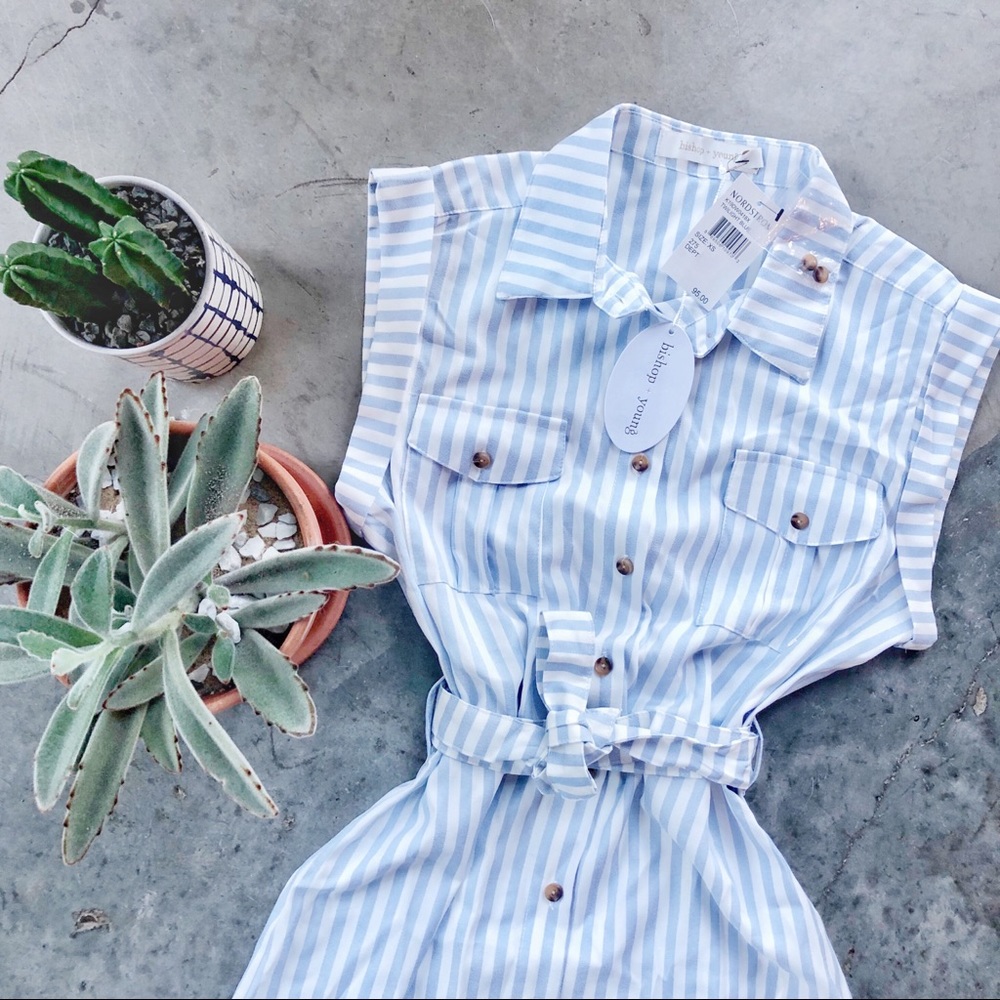 NWT Bishop + Young Twilight Blue Stripe Dress